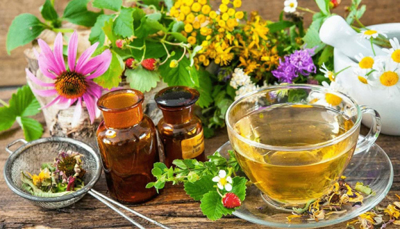 GEO просування інтернет магазину лікарських трав