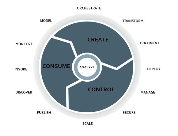 Життєвий цикл API