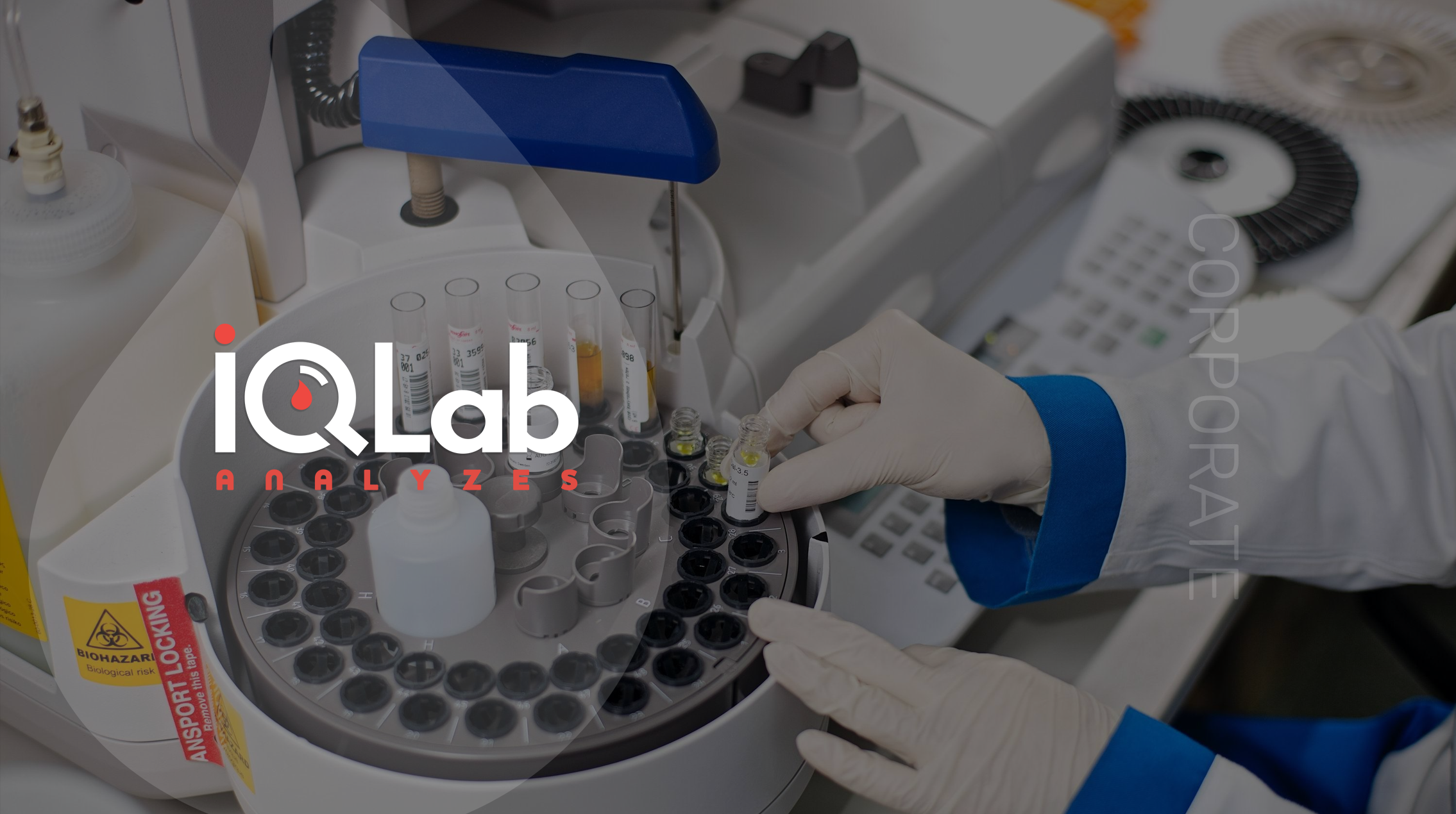 Создание сайта автоматизированной лаборатории IQLab