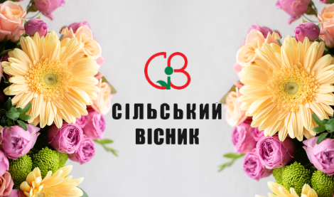 Продвижение Интернет магазина CIB"
